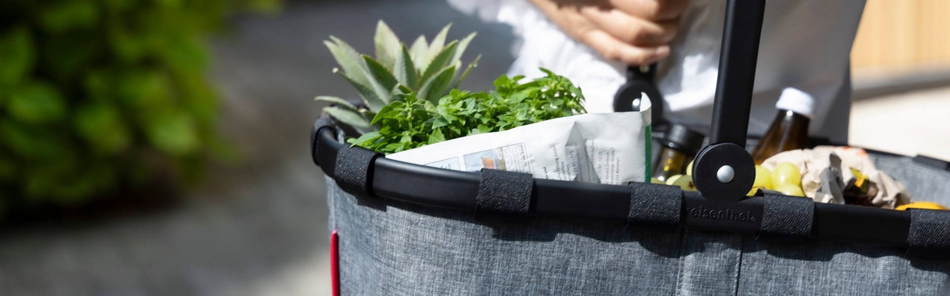 Shopping basket with fresh groceries and herbs